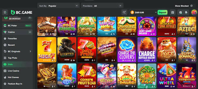 BC.Game Poland Login Process A Step-by-Step Guide -238590260