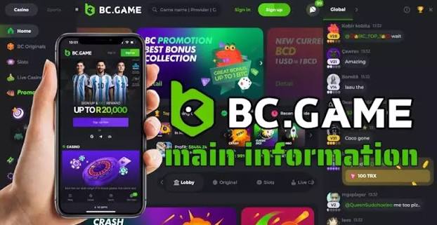 BC.Game Poland Login Process A Step-by-Step Guide -315721901