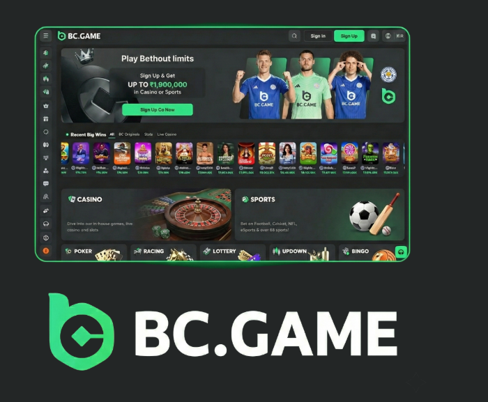 Exploring BC.Game Crypto Casino in Argentina